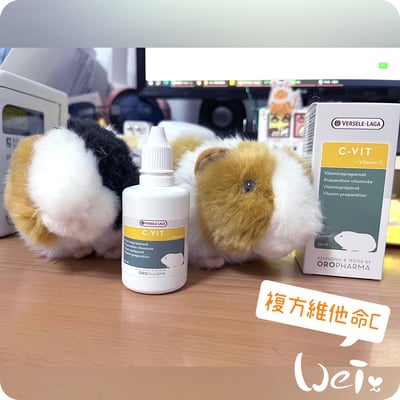 比利時凡賽爾 複方維他命C (囓齒小寵物)2