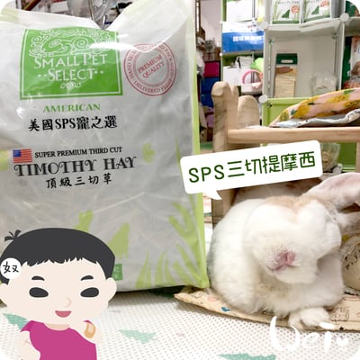 美國SPS寵之選 三切提摩西3