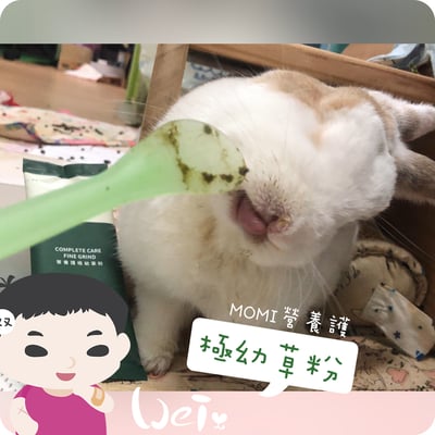 MOMI摩米營養護極幼草粉 原味13