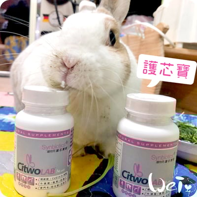 CI兔 Citwo LAB 護芯寶3