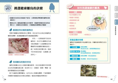 《書》文鳥的幸福飼育指南 もっと知りたい 文鳥のすべて 幸せな飼い方・接し方がわかる本12