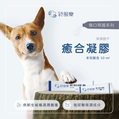 舒服樂 傷口照護系列 癒合凝膠3