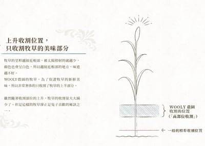 WOOLY高原早割燕麥草(本次貨櫃未到)3