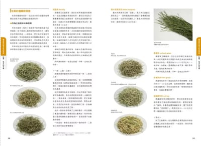 《書》兔兔喜歡吃什麼？兔子的飲食與營養百科  新版 よくわかるウサギの食事と栄養6