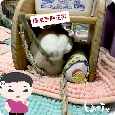 OXBOW提摩西麻花捲3