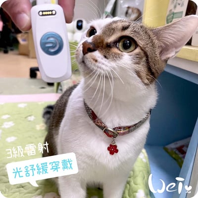 舒服樂 光舒緩穿戴 / 寵物居家三級雷射18