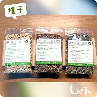 小麥草 / 貓草種子 (單賣)1