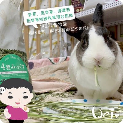 WOOLY高原的混合牧草(四種混合草)(本次貨櫃未到)22