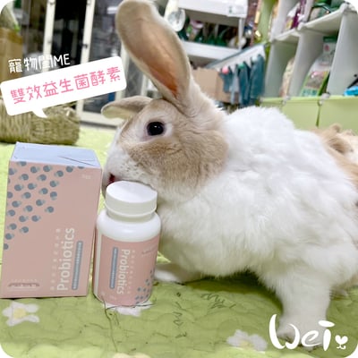 寵物閨Me 雙效益生菌酵素－贈品/試吃索取11