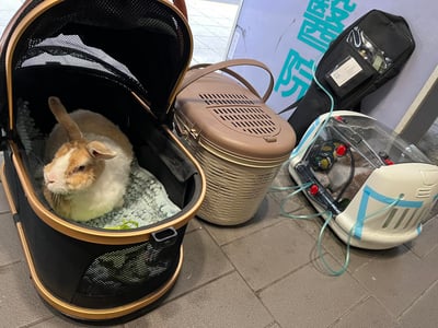 【經驗分享】醫用氧氣鋼瓶(攜帶式氧氣瓶+家用型推車氧氣鋼瓶)6