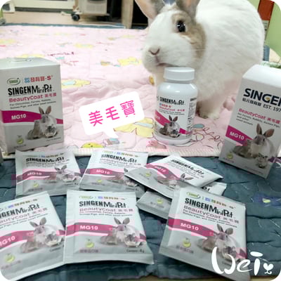 信元發育寶 小寵美毛寶2