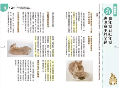 《書》第一次養荷蘭侏儒兔就上手 ネザーランドドワーフ 飼育バイブル 長く元気に暮らす50のポイント9