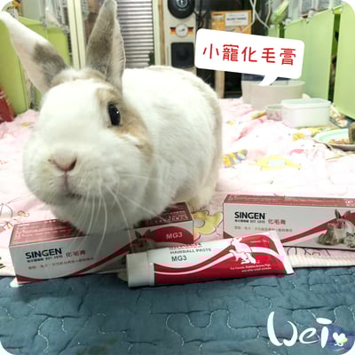 信元發育寶 小寵化毛膏2