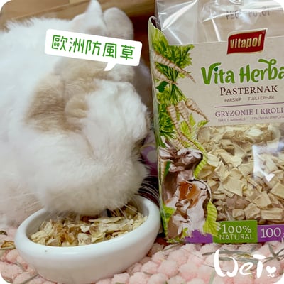 Vitapol維他寶 歐洲防風草點心(NG特價)9