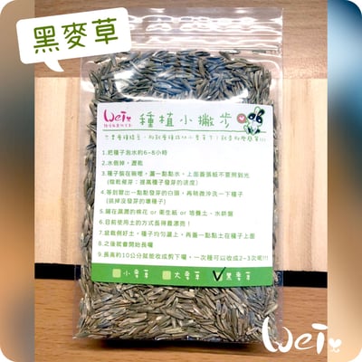 小麥草 / 貓草種子套餐組6