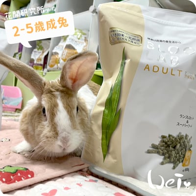 WOOLY花開研究所 2-5歲成兔飼料1