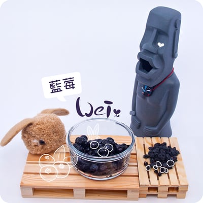 藍莓乾1