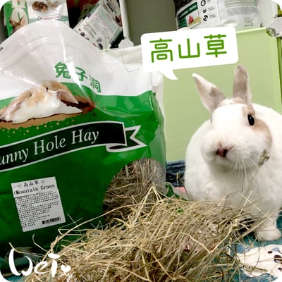美國Rabbit Hole Hay兔子洞 高山草10