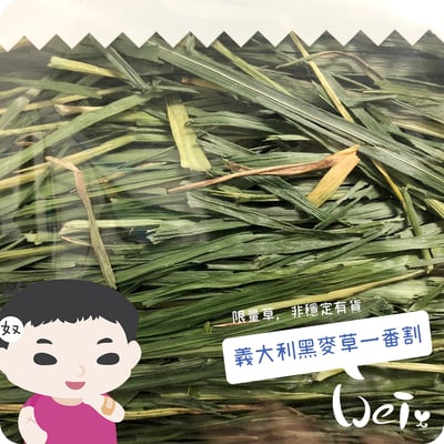 WOOLY高原的義大利黑麥草一割 (本次貨櫃未到)2