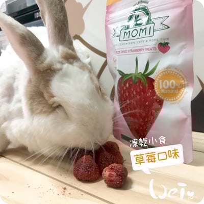 摩米MOMI 水果凍乾7