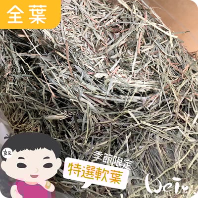 摩米MOMI 季節限定特選軟葉提摩西3