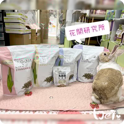 WOOLY花開研究所 8歲以上特殊老兔飼料4