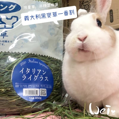 WOOLY高原的義大利黑麥草一割 (本次貨櫃未到)7