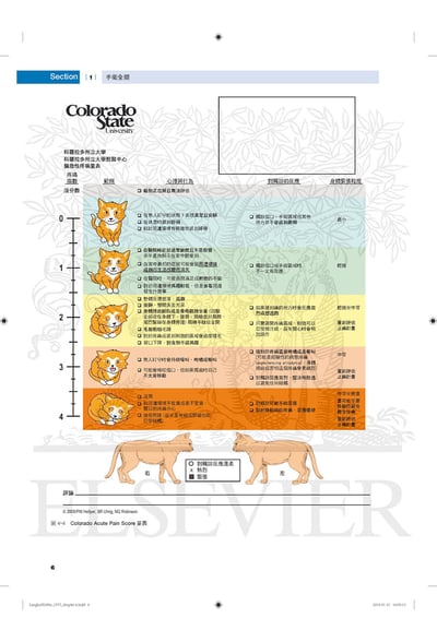 《書》貓軟組織外科學（上/下冊）6