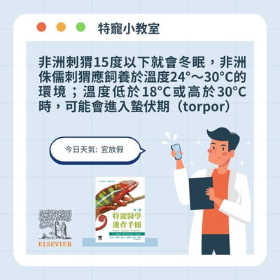 《書》特寵醫學速查手冊 第二版(現貨)4