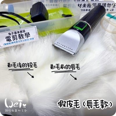 PiPe煙斗牌 寵物專業電剪SJ-368 (液晶顯示) /剃毛9