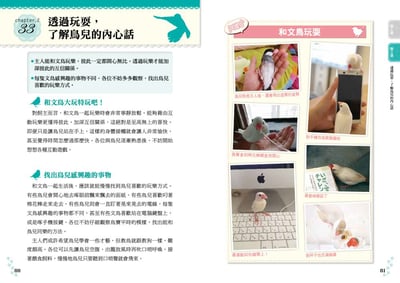 《書》文鳥的幸福飼育指南 もっと知りたい 文鳥のすべて 幸せな飼い方・接し方がわかる本9