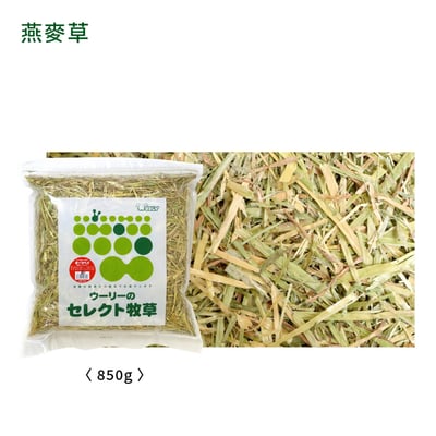 WOOLY海外精選澳洲燕麥草 甜燕麥5