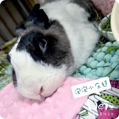 手作 - 泡泡小床毯 (沙沙響紙)10