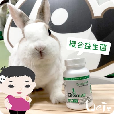 CI兔 Citwo LAB 複合益生菌 (益兔寶)1