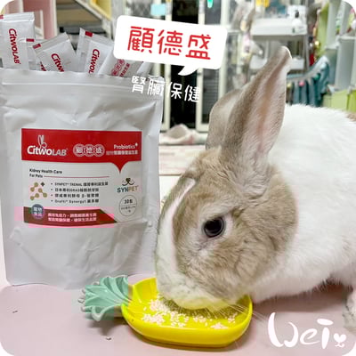 CI兔 Citwo LAB 顧德盛 腎臟保健益生菌 (試吃包/體驗組索取)5