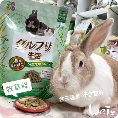 日本 HI-PET 提摩西牧草條2