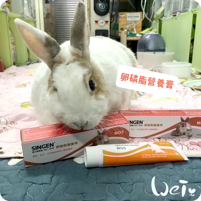 信元發育寶 卵磷脂營養膏3