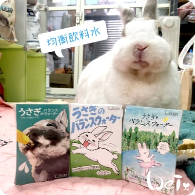 WOOLY 寵兔之均衡飲料水(本次貨櫃未到)6
