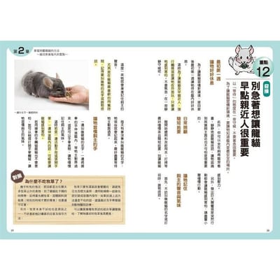 《書》第一次養龍貓就上手 チンチラ飼育バイブル 長く元気に暮らす50のポイント6