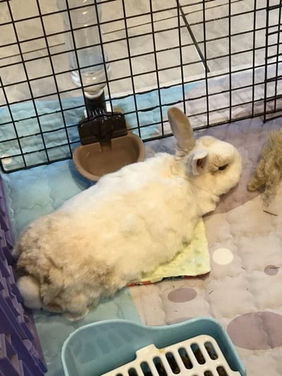 手作 - 泡泡小床毯14