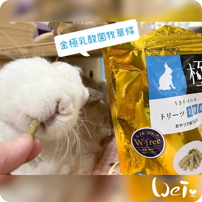 日本 HI-PET 金極乳酸菌牧草條 (KIWAMI極)4