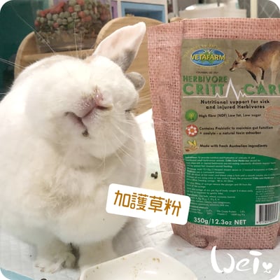 澳洲飛達發VETAFARM 加護調理機能草粉1