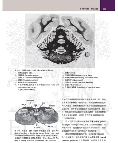 《書》犬解剖指引第八版6