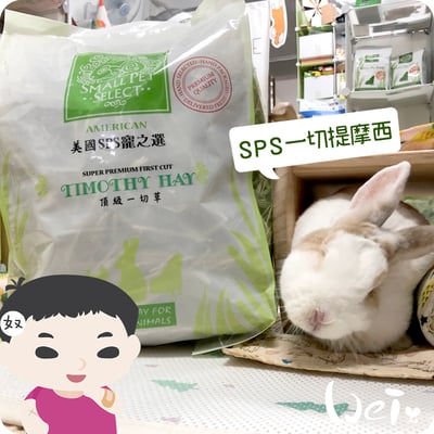 美國SPS寵之選 一切提摩西2