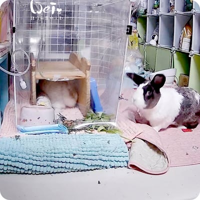 DIY改造用 寵物氧氣房透明軟塑膠布7