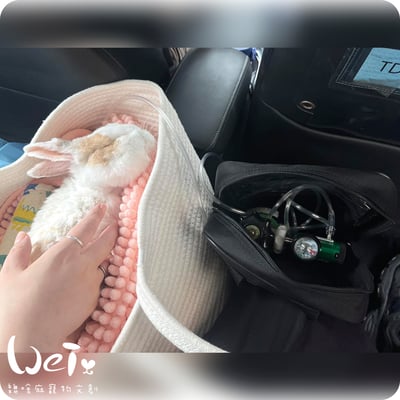 【經驗分享】醫用氧氣鋼瓶(攜帶式氧氣瓶+家用型推車氧氣鋼瓶)8