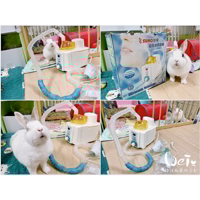 【寵物用超音波噴霧使用經驗分享】(京華超音波kun-868)(帕基艾兒)(普元)(舒摩v-15)3