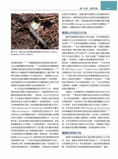 《書》Mader’s兩棲與爬蟲內外科(第3版)(上冊)4