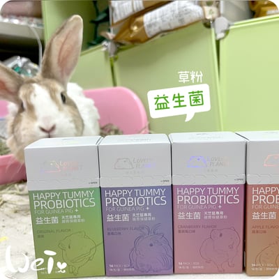 好可愛星球Lovely Planet天竺鼠益生菌 原味14