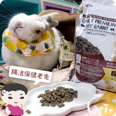 日本NPF恩貝護 腸活保健老兔(優益兔)5